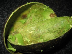 avocado skins