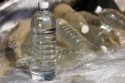 The smell inside plastic water bottles is mostly caused by bacteria. Photo credit: ToddMorris / CC BY-SA