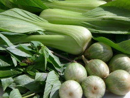 Thai vegetables by seelensturm